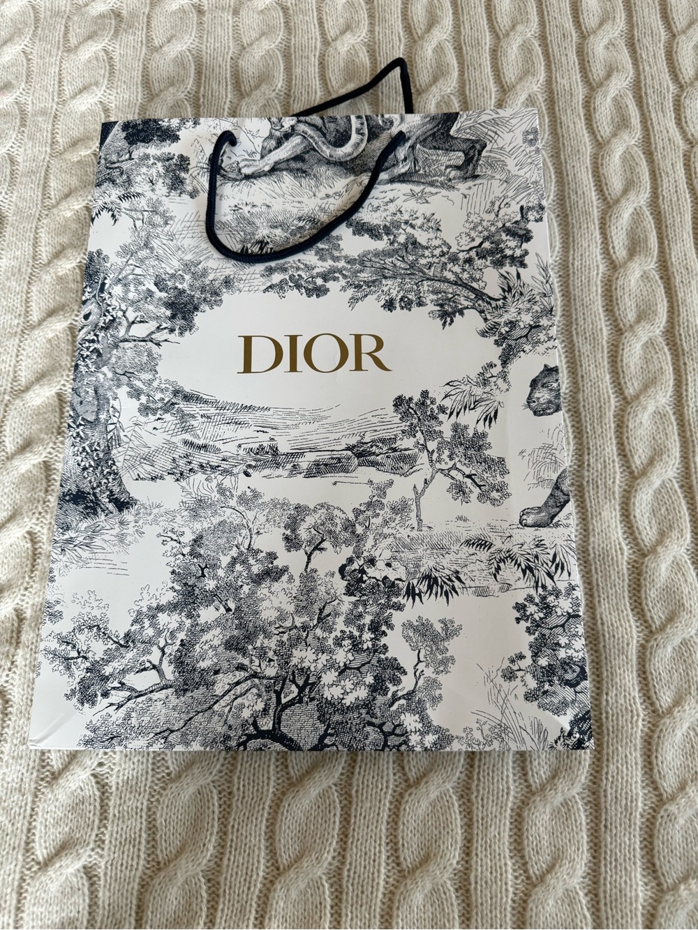Dior Black and White  Paper Gift Bag With Logo In Gold